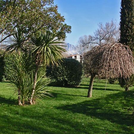 Macchia Home Marina Di Carrara Bagian luar foto